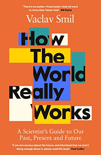 How the World Really Works (Paperback, 2022, VIKIN)