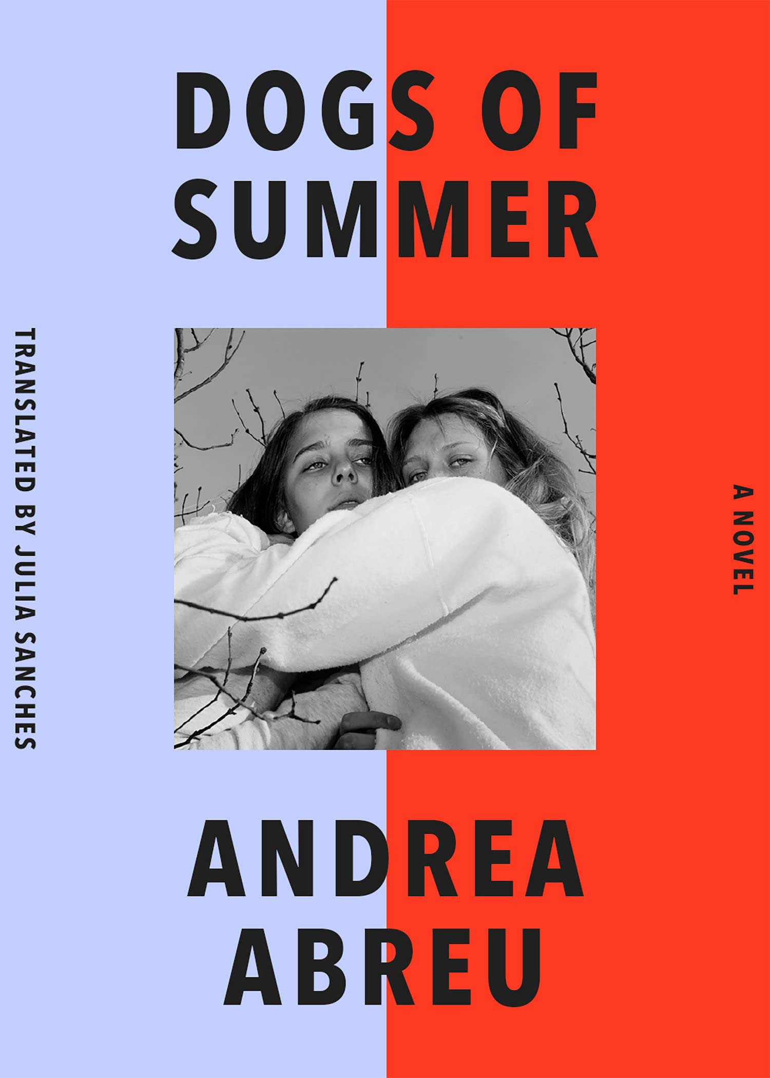 Julia Sanches, Andrea Abreu López: Dogs of Summer (Hardcover, 2022, Astra House)