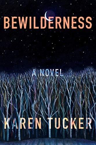 Karen Tucker: Bewilderness (Hardcover, 2021, Catapult)