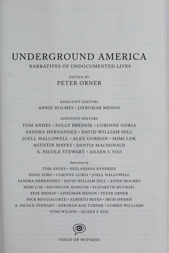 Underground America (2008, McSweeney's Books)