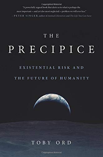 The Precipice (Hardcover, 2020, Hachette Books)