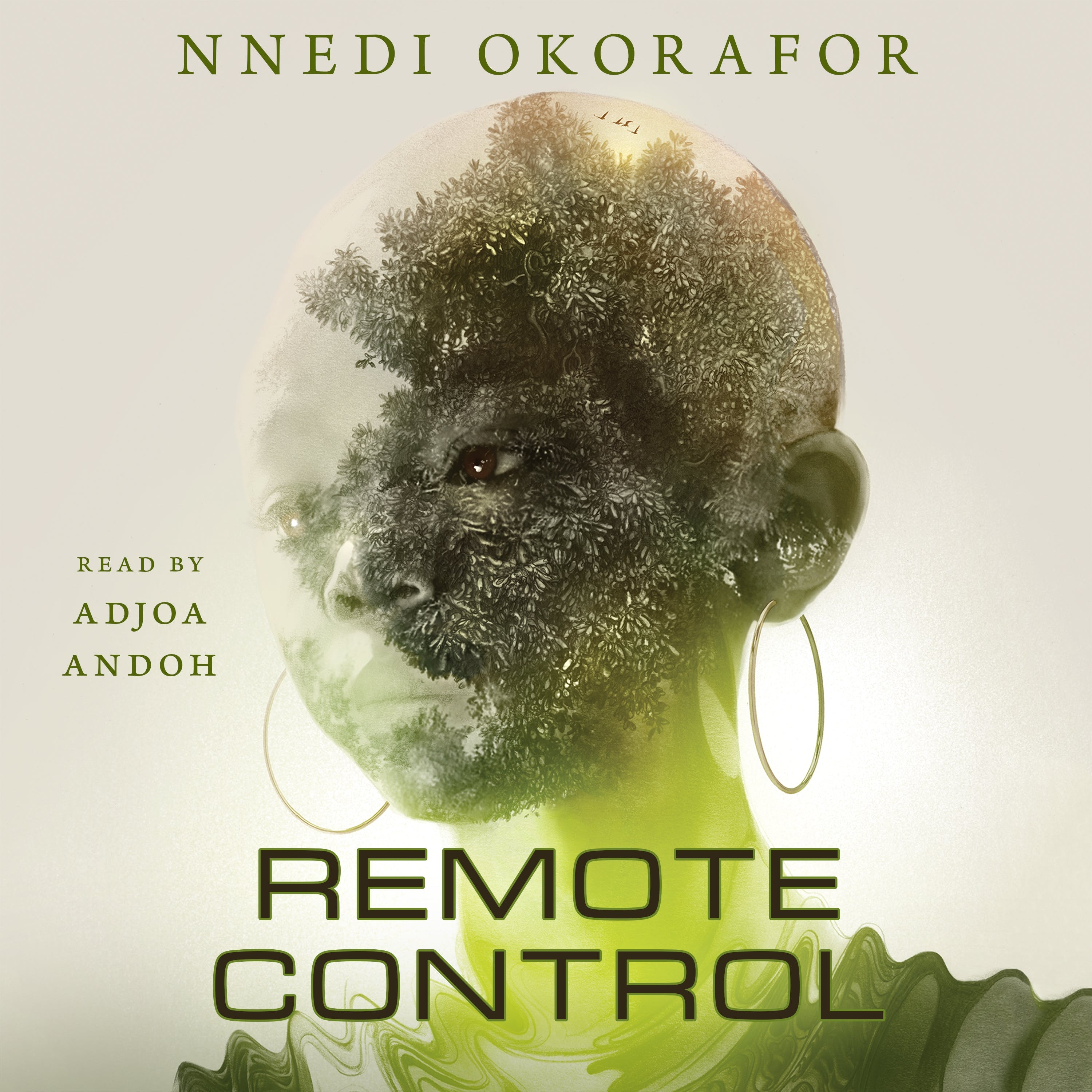Remote Control (AudiobookFormat)