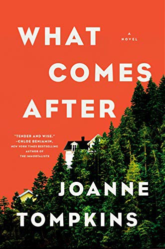 What Comes After (Hardcover, 2021, Riverhead Books)