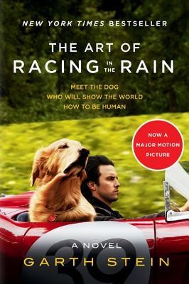 Garth Stein: The Art Of Racing In The Rain (Paperback, 2019, Harper)