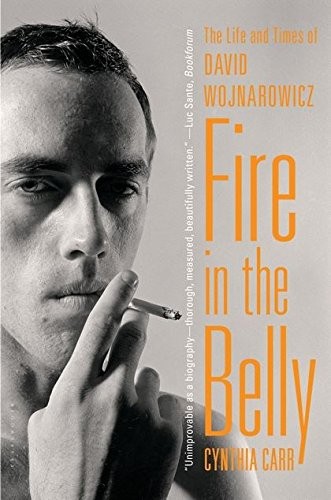 Fire in the Belly (Paperback, 2013, Bloomsbury USA)