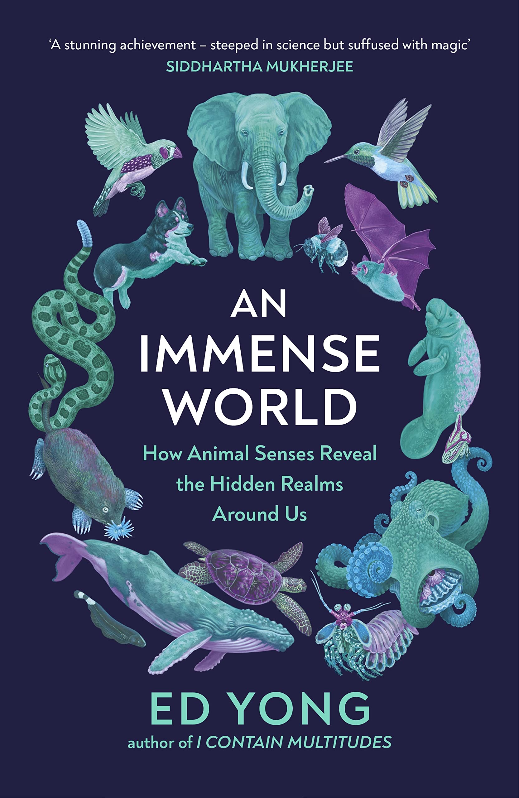 An Immense World (2022, Random House Children's Books)