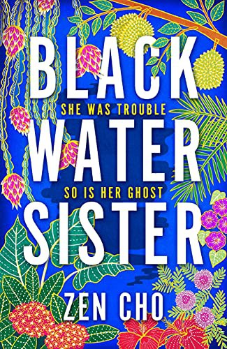 Black Water Sister (Hardcover, 2021, Macmillan)